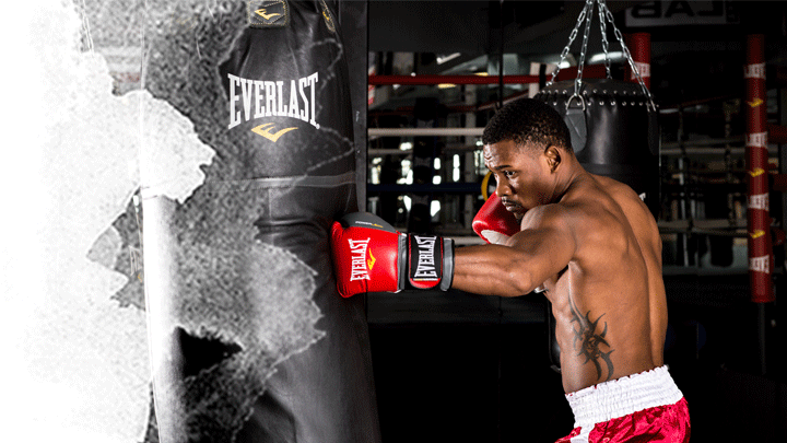 everlast bezy