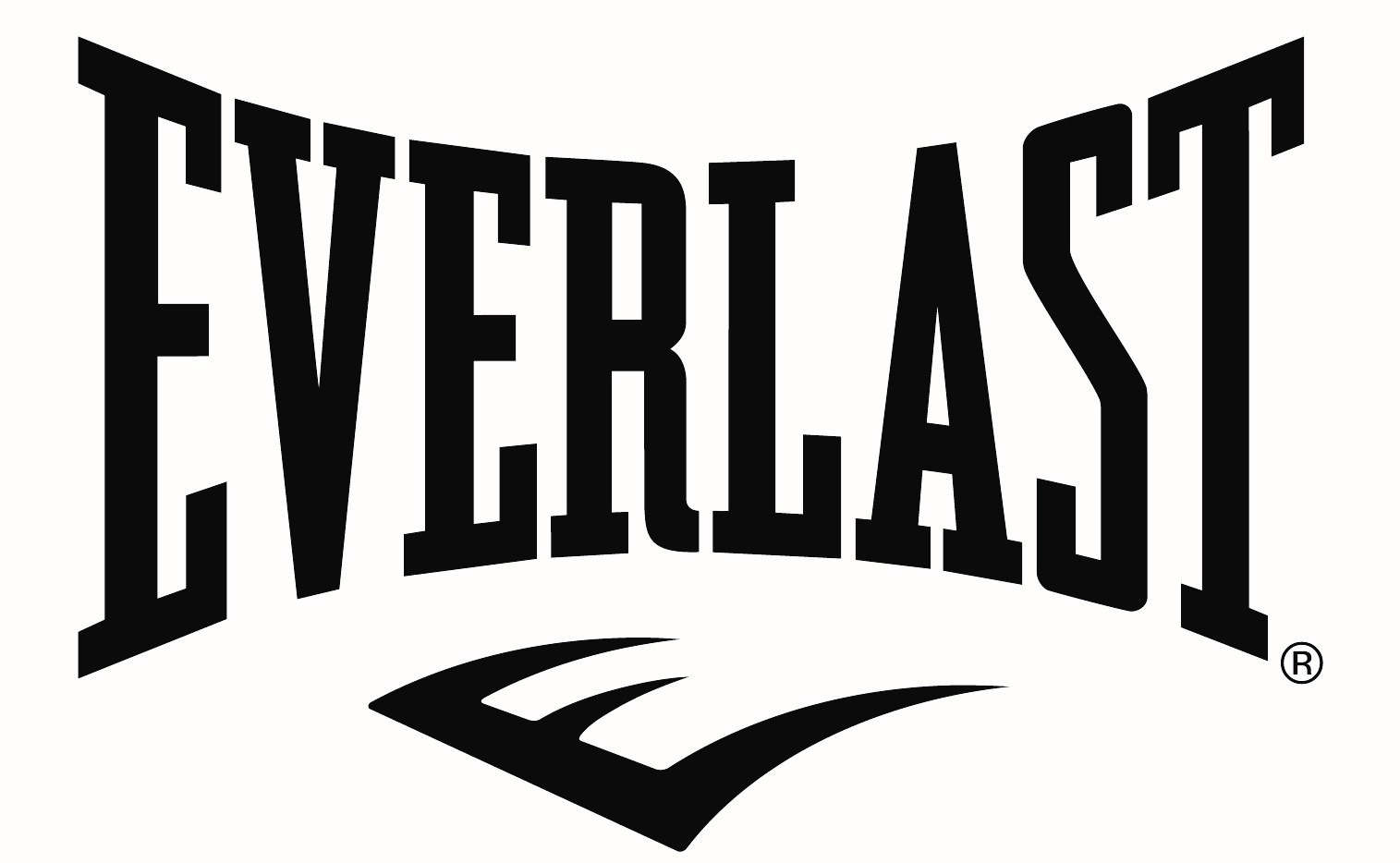 everlast_logos block